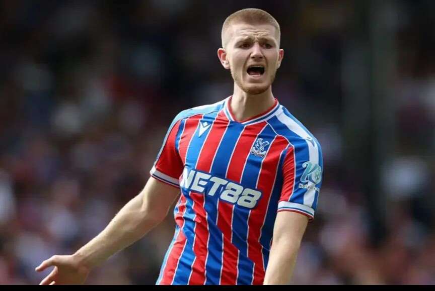 岁的水晶宫, 贝林厄姆式 岁的水晶宫, 贝林厄姆式